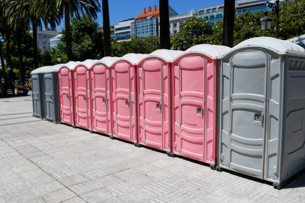 Types of Portable Toilets We Offer in Schoolcraft, MI